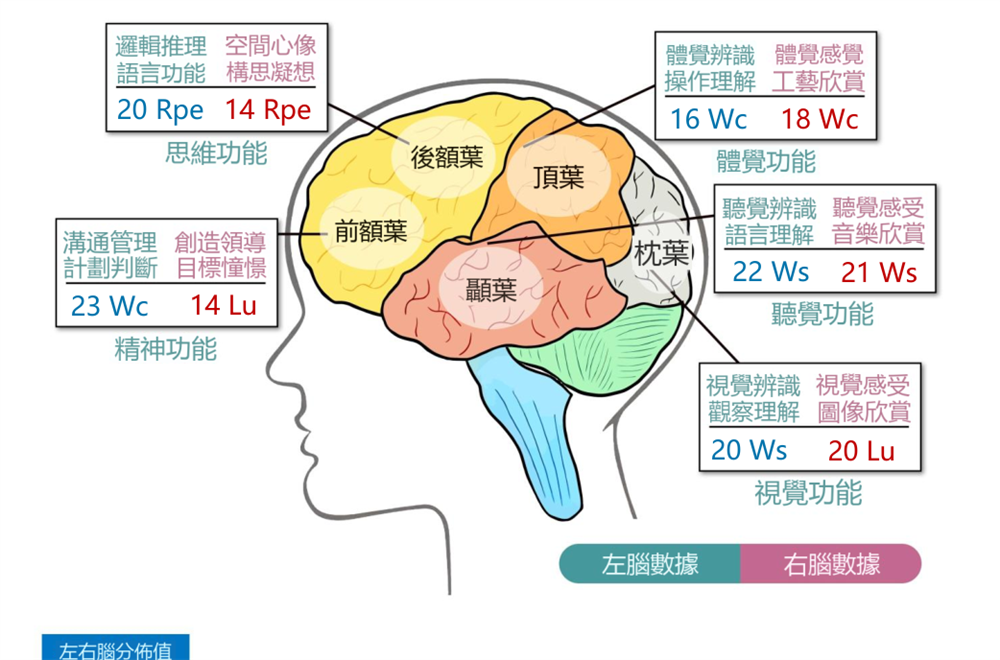 指紋天賦・先天大腦功能